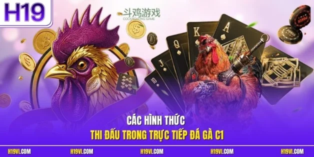 Các hình thức thi đấu trong trực tiếp đá gà C1