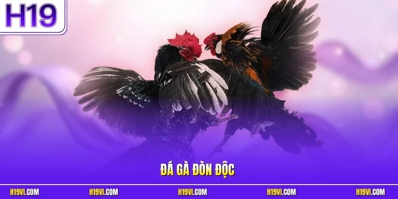 Đá Gà Đòn Độc
