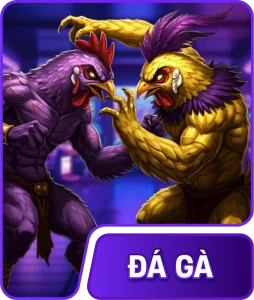 icon đá gà