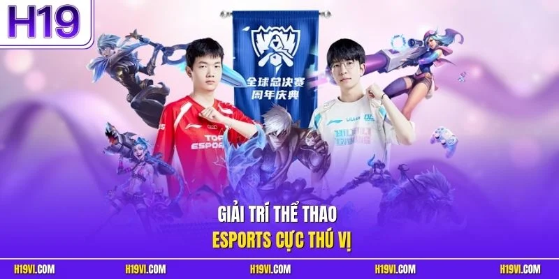 Giải trí thể thao & esports cực thú vị