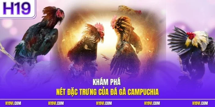 Khám phá nét đặc trưng của đá gà Campuchia
