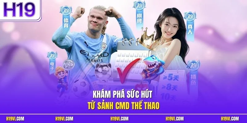 Khám phá sức hút từ sảnh CMD thể thao