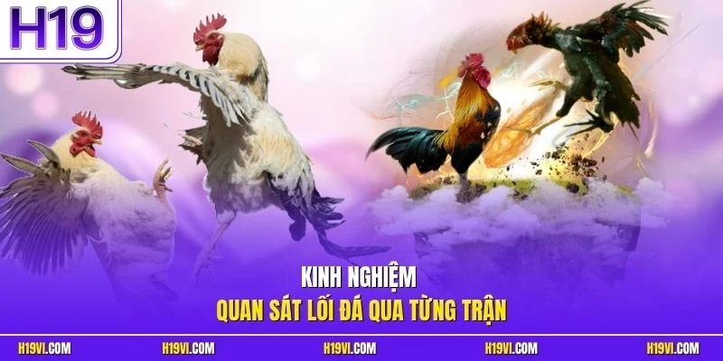 Kinh nghiệm quan sát lối đá qua từng trận