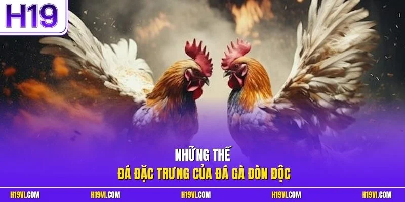 Những thế đá đặc trưng của đá gà đòn độc