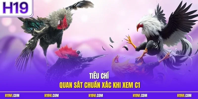 Tiêu chí quan sát chuẩn xác khi xem C1