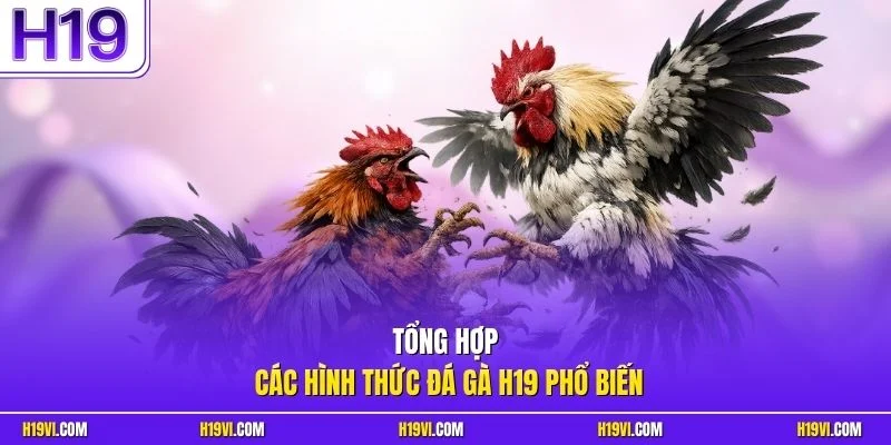 Tổng hợp các hình thức đá gà H19 phổ biến