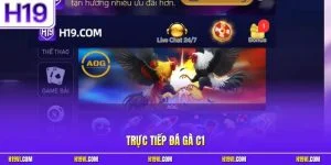 Trực tiếp đá gà C1