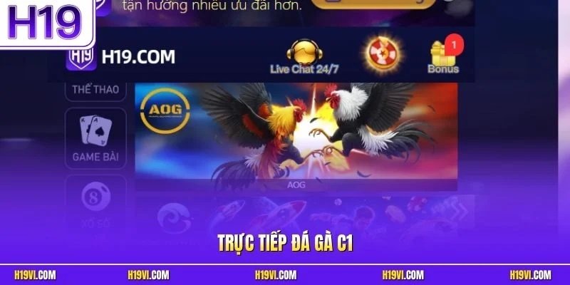 Trực tiếp đá gà C1